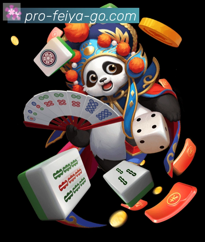 未来规划